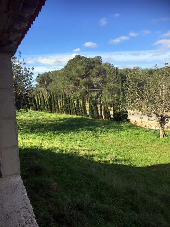 Beautiful Land with house to refurnish in St. Eulalia!
